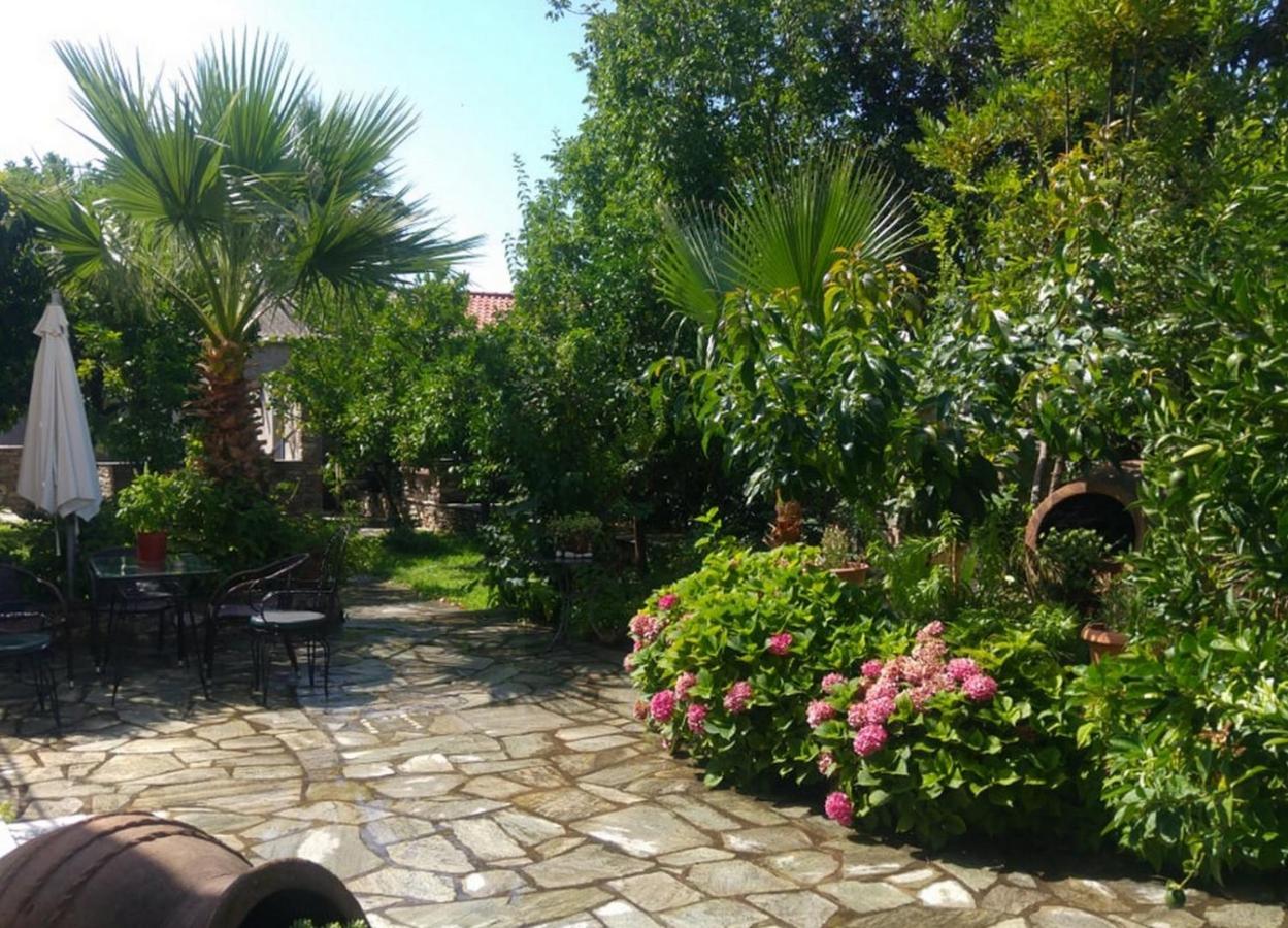 Archontiko Tsaknaki Manolia Ξενοδοχείο Áno Lekhónia Εξωτερικό φωτογραφία