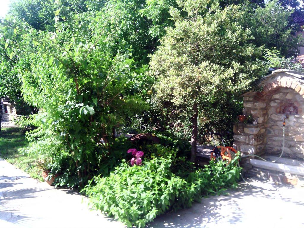 Archontiko Tsaknaki Manolia Ξενοδοχείο Áno Lekhónia Εξωτερικό φωτογραφία